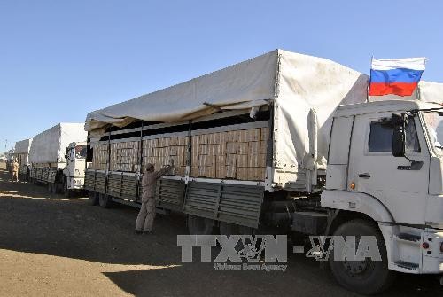 Russia and the EU provide humanitarian aids to eastern Ukraine - ảnh 1